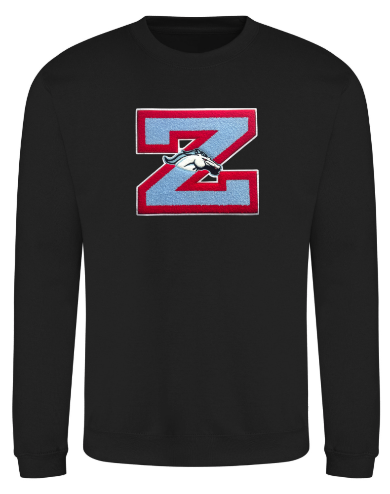 Z Chenille Patch Sweatshirt image 1