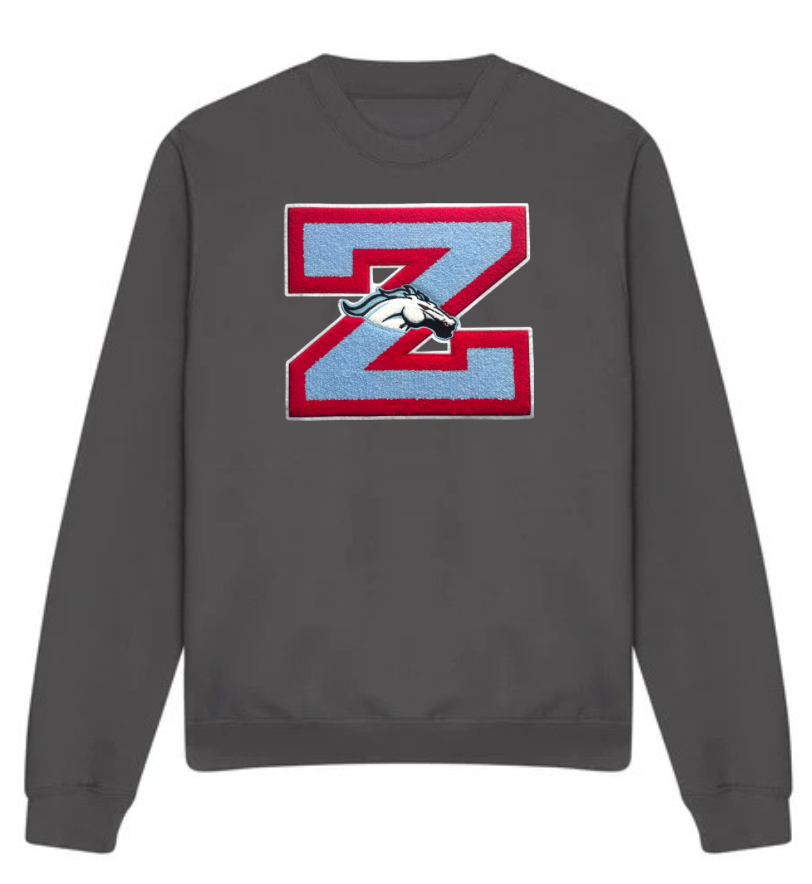 Z Chenille Patch Sweatshirt image 6