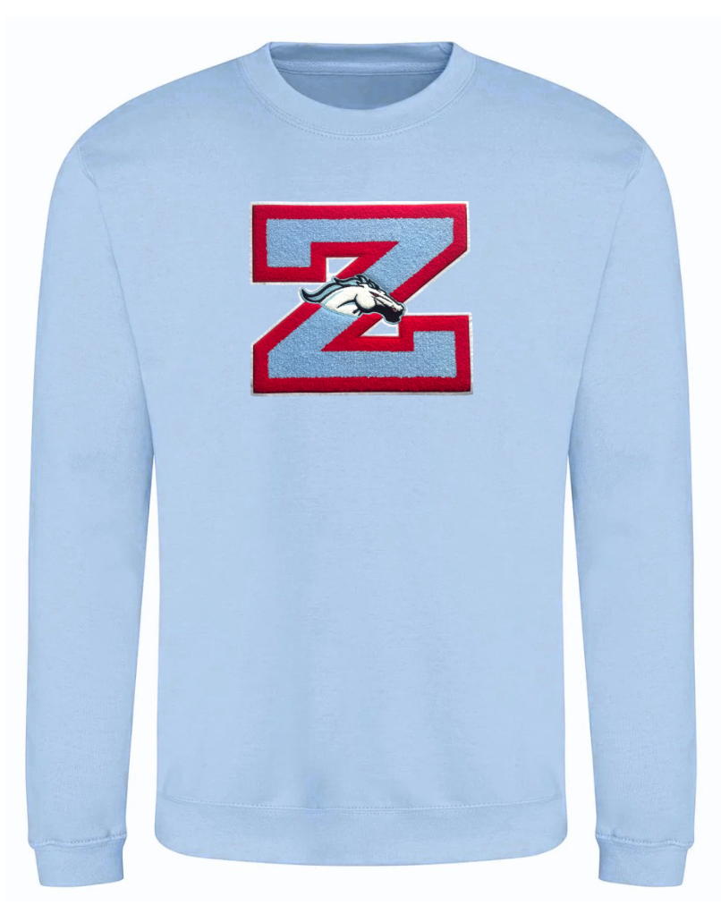 Z Chenille Patch Sweatshirt image 4