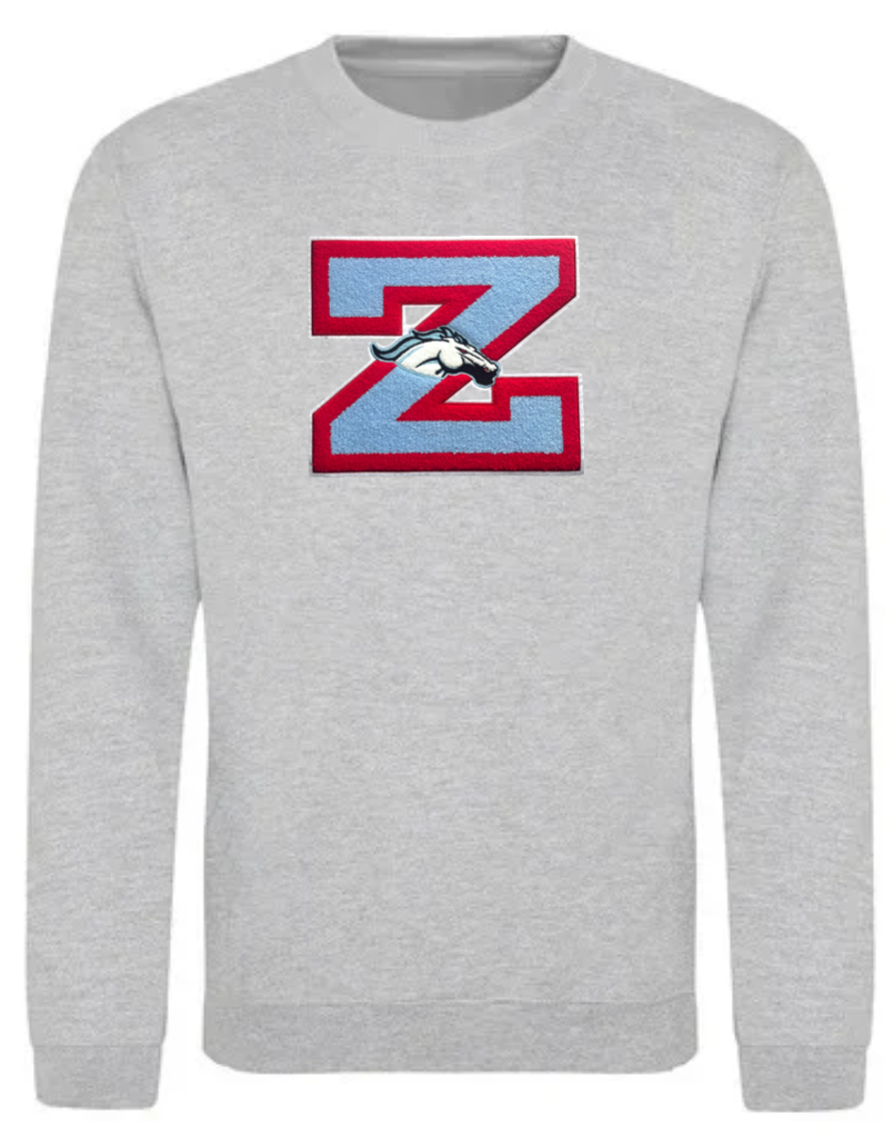 Z Chenille Patch Sweatshirt image 2